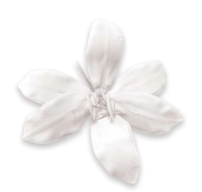 Tiger Lily Edible Flower